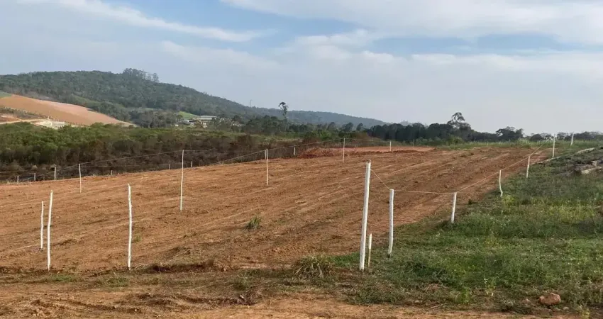 Cotia: lotes acessíveis, ótima localização e zero consulta ao SPC.