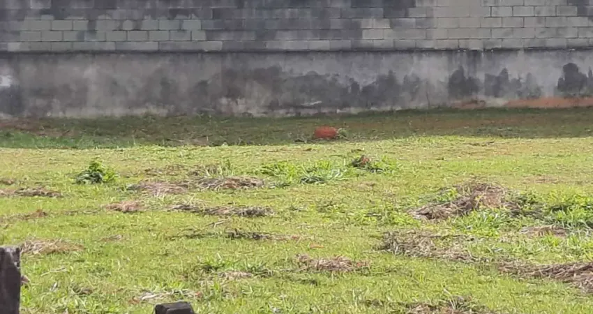 TERRENO EM ALPHAVILLE CONSTRUÇÃO PRÉDIO COMERCIAL , INDUSTRIAL OU GALPÕES