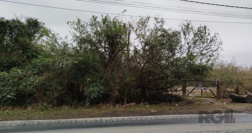 Terreno no Bairro Serraria com 20.250m²