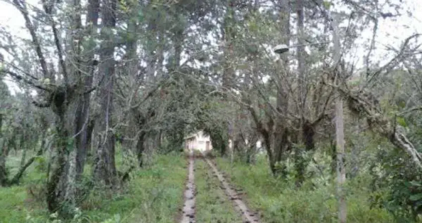 Terreno à venda na Estrada Afonso Lourenço Mariante, --, Belém Velho, Porto Alegre