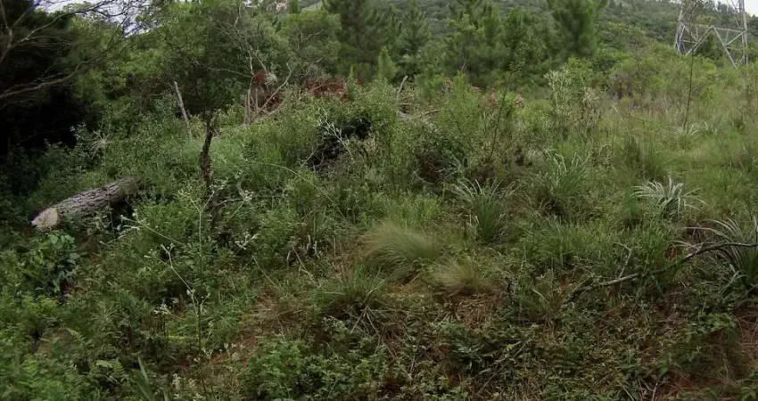 Terreno à venda na Estrada das Furnas, --, Vila Nova, Porto Alegre