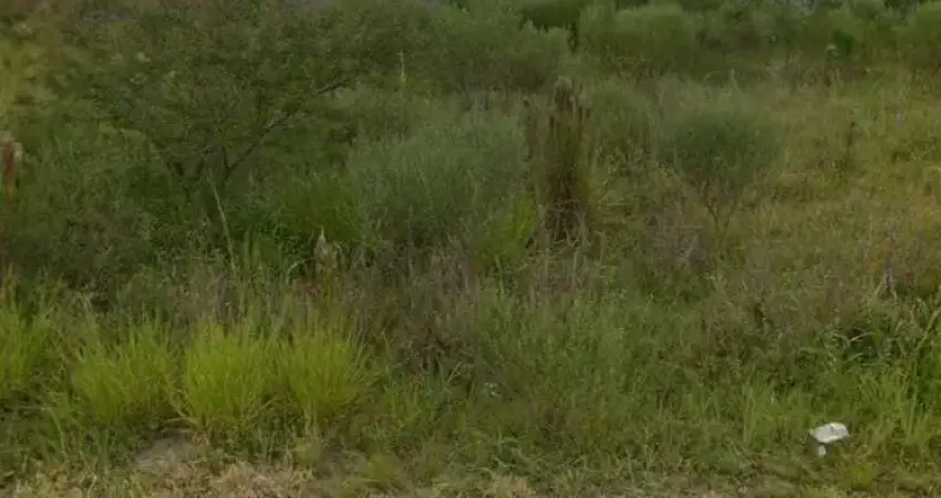 Terreno à venda na Rua Jorge Babot Miranda, --, Aberta dos Morros, Porto Alegre