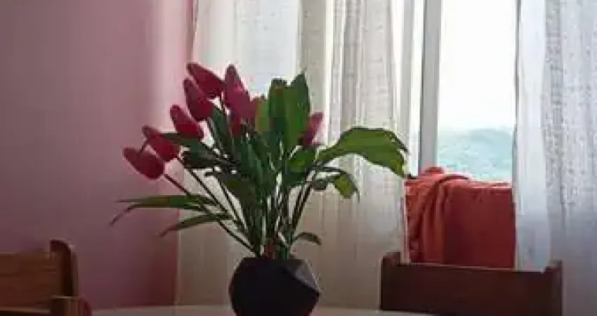 Apartamento com 2 quartos à venda na Rua Capitão Pedroso, --, Restinga, Porto Alegre