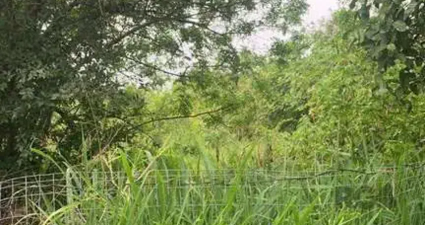 Terreno à venda na Avenida Heitor Vieira, --, Belém Novo, Porto Alegre