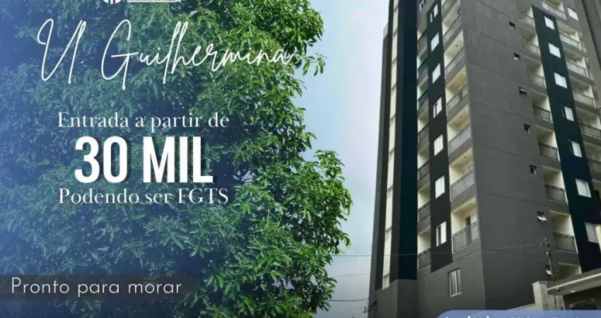 Apartamento para venda em são paulo, vila guilhermina, 2 dormitórios, 1 banheiro, 1 vaga