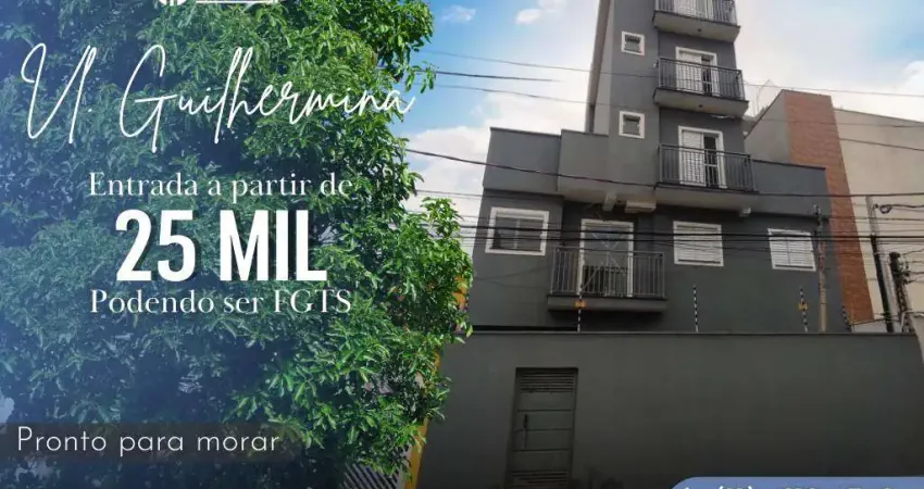 Apartamento para venda em são paulo, vila guilhermina, 2 dormitórios, 1 banheiro