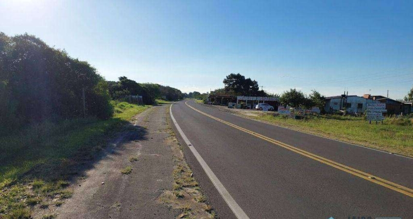 Terreno à venda no Túnel Verde (Distrito), Balneário Pinhal 