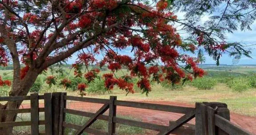 Chácara / sítio à venda na Zona Rural, Palmeira D'Oeste 