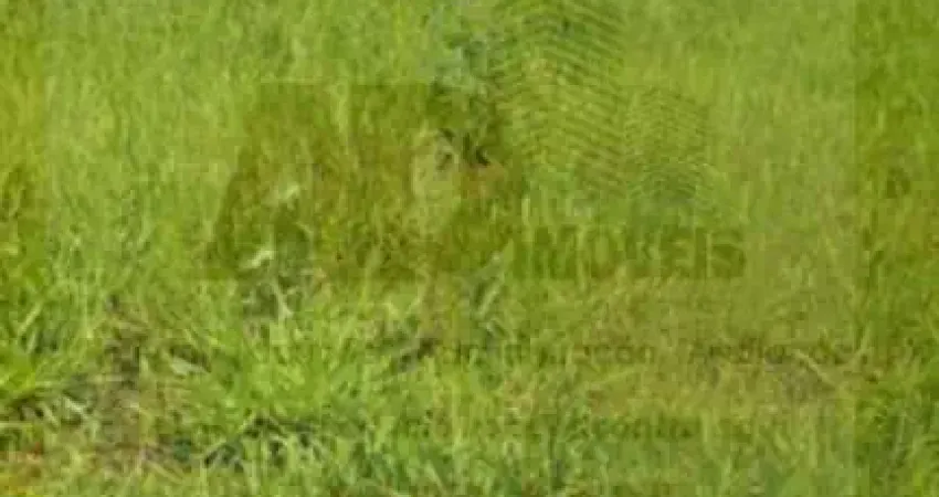 Terreno para Venda em São José do Rio Preto, Parque Vila Nobre