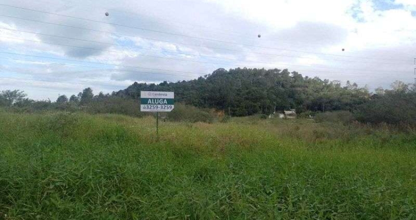 Terreno comercial para alugar na Rua das Cerejeiras, s/nº, Pedra Branca, Palhoça