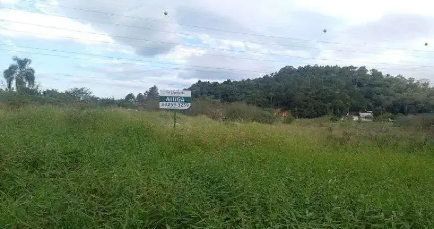Terreno comercial para alugar na Rua das Cerejeiras, s/nº, Pedra Branca, Palhoça