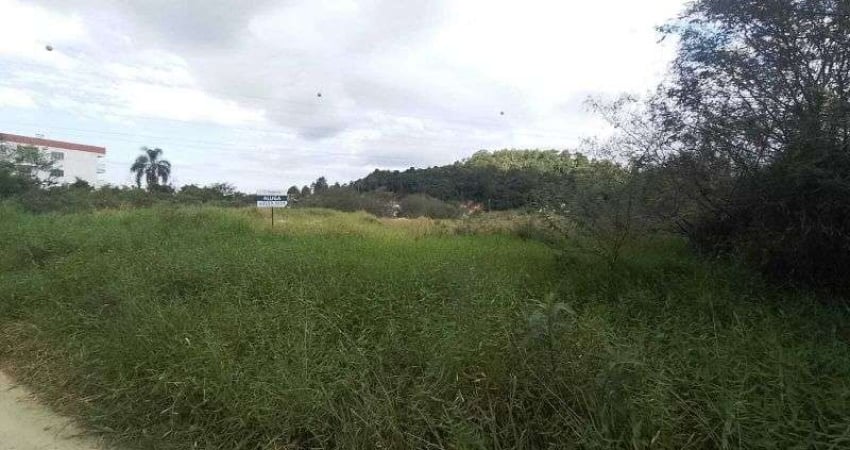 Terreno comercial para alugar na Rua das Cerejeiras, s/nº, Pedra Branca, Palhoça