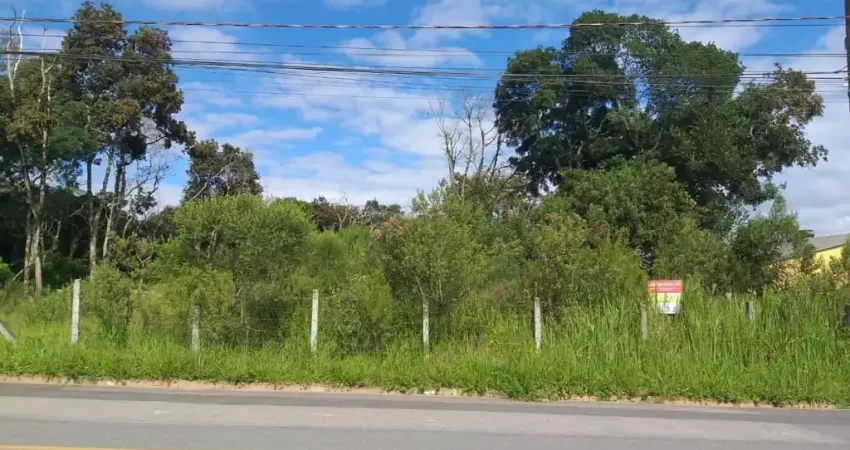 Terreno comercial à venda na Rua Hermenegildo Pauletto, Arujá, São José dos Pinhais