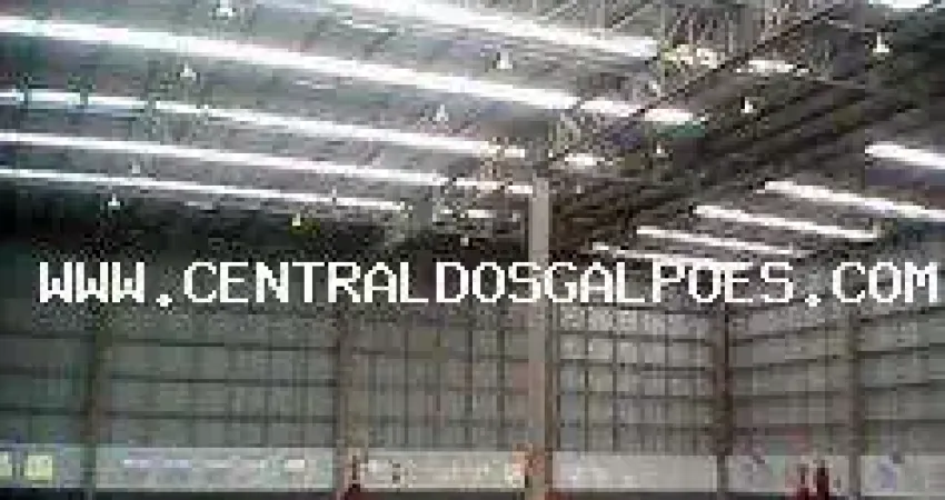 Barracão / Galpão / Depósito para alugar na Condomínio Porto Rico, Santa maria, Brasília