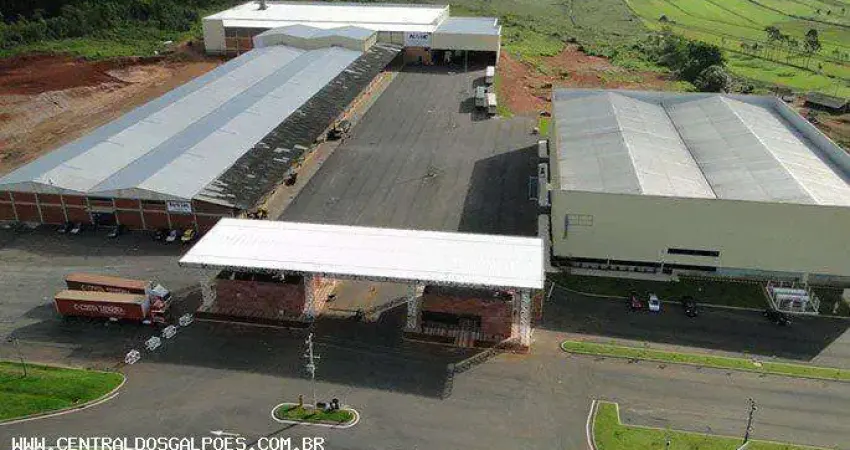 Barracão / Galpão / Depósito para alugar na Rua Sete de Setembro, 684, Parque São Paulo, Cascavel