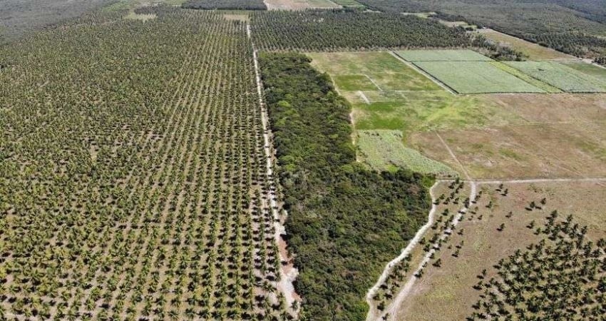 fazenda 800 hectares perfeitas para enegia solar e eóloicas.
