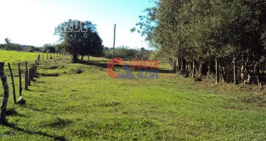 Chácara / sítio à venda na XXXXXXXXXXXXXXXXXXXXXXXXXXXXXXXXXXXXXXXX, XXXXXXXXXX, Passo da Caveira, Gravataí