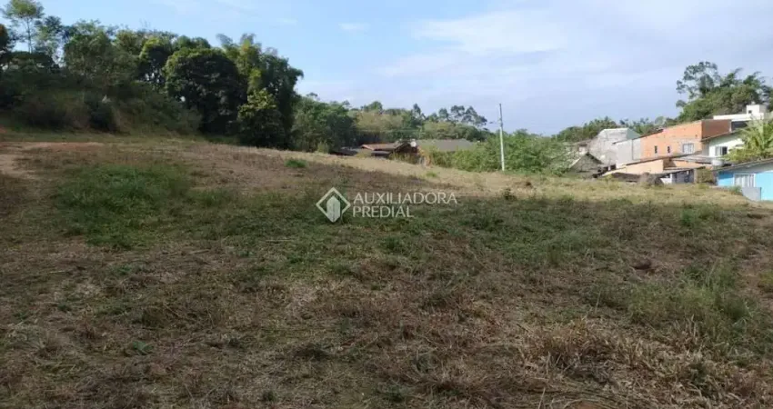 Terreno comercial à venda na BR 101, 11, Área Rural de Biguaçu, Biguaçu