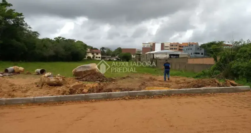 Terreno à venda na Estrada da Branquinha, 1448, Martinica, Viamão
