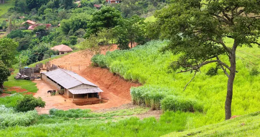 Sítio  à venda em são bento do sapucaí - 4,5 alqueires - documentação 100% regularizada