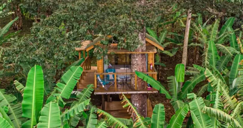 Terreno - 5.000m2 com casa na árvore e visual deslumbrante para a pedra do báu.