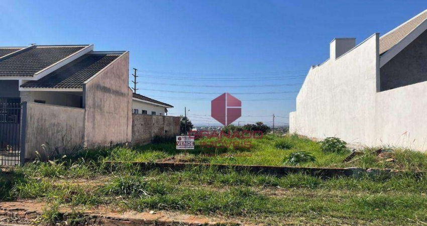 Terreno à venda, 328 m² por R$ 250.000,00 - Jardim São Miguel - Maringá/PR