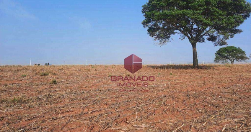 Terreno à venda, 20000 m² por R$ 900.000,00 - Distrito de Iguatemi (Iguatemi) - Maringá/PR