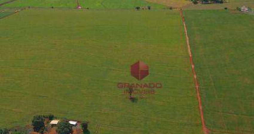 Sítio à venda, 121000 m² por R$ 4.700.000,00 - Conjunto Habitacional João de Barro Thaís - Maringá/PR