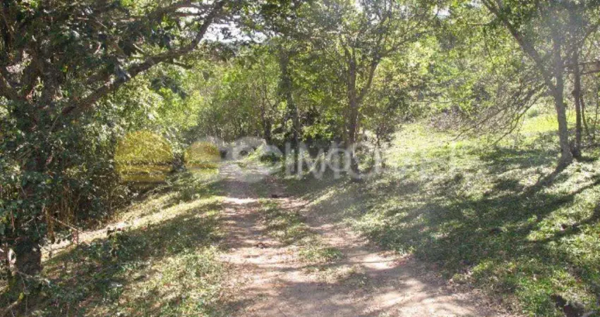 Chácara / sítio com 3 quartos à venda no São João do Rio Vermelho, Florianópolis 