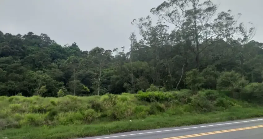 Terreno de 9.146m² localizado na Rodovia Índio Tibiriçá no km 50 na cidade de Ribeirão Pires. Aceita Permuta!