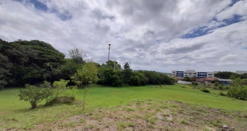 Terreno à venda Vila Nova Porto Alegre/RS