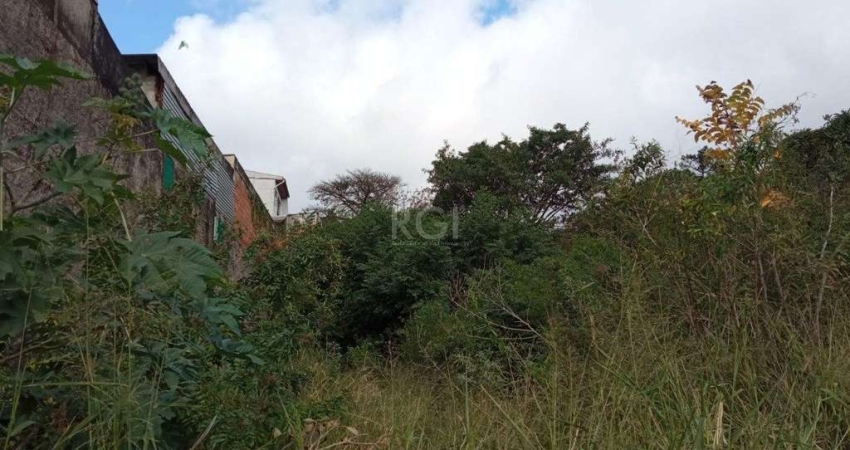 Terreno no bairro Nonoai