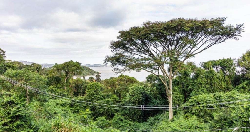 TERRENO, 1.236m,  SETIMO CEU, PORTO ALEGRE, RS