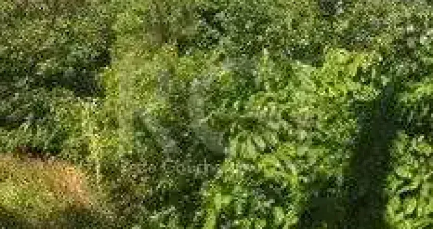 Terreno para Venda - 0m², 0 dormitórios, Aberta dos Morros/ Altos do Santa Rita,