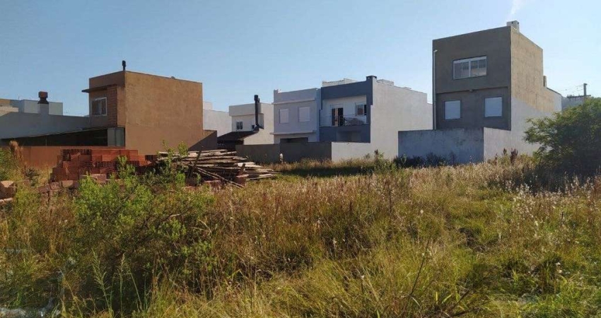 Terreno à venda Aberta dos Morros Porto Alegre/RS