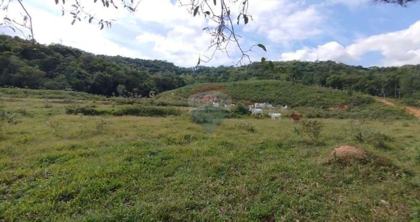 Chácara / sítio à venda na Margem Esquerda, Apiúna 