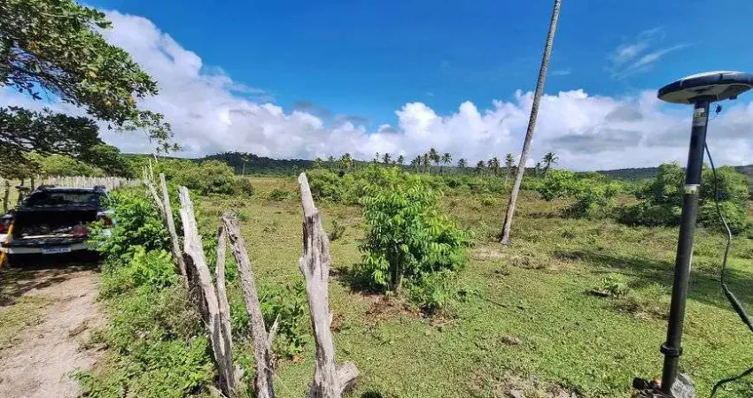 Fazenda/sítio/chácara para venda possui 40,93 tarefas em zona rural - conde - ba