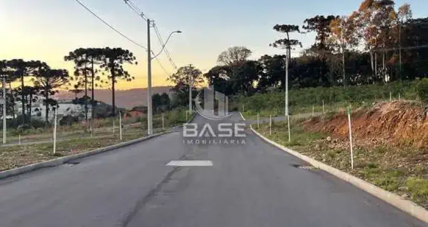 Terreno à venda na Nossa Senhora da Saúde, Caxias do Sul 