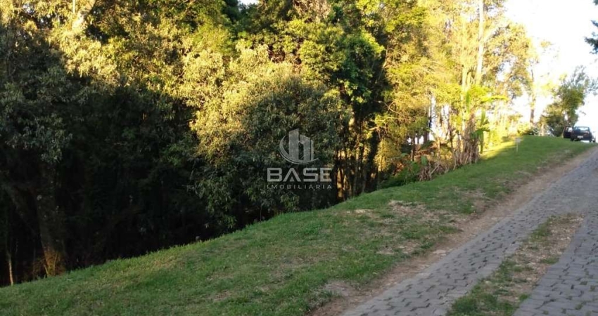 Terreno à venda no Pedancino, Caxias do Sul 