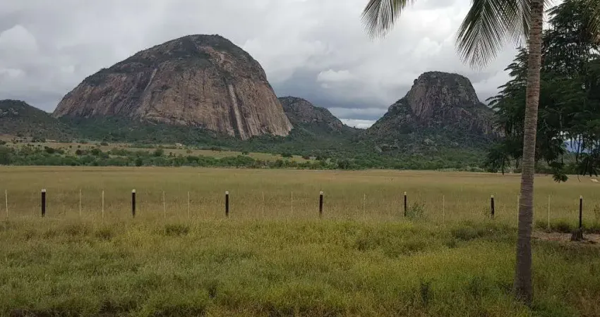 Fazenda de luxo à venda em iaçu-ba: 4 suítes, 2 salas, 6 banheiros, 5.000 tarefas