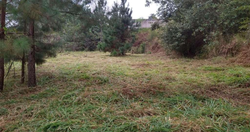 Casa à venda na SP-270, Jardim Guerreiro, Cotia