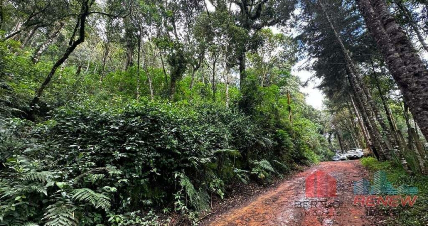 Terreno à venda na Rua Nogueira, S/n, Monte Verde, Camanducaia