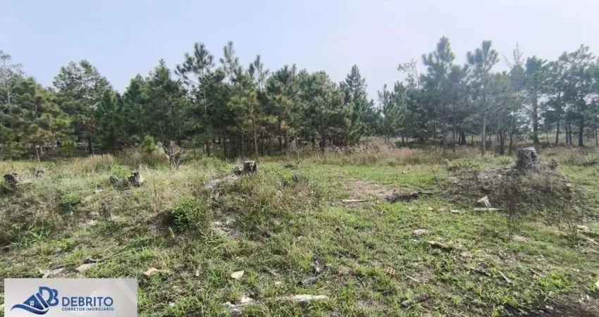 Terreno à venda no Nova Tramandaí, Tramandaí 