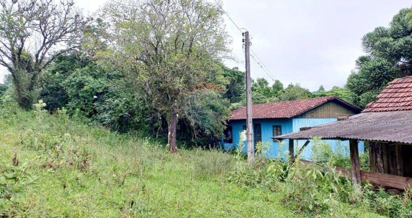 Chácara / sítio com 2 quartos à venda na Linha Baixa Grande, 120, Centro, Riozinho
