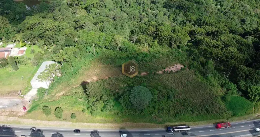 Terreno comercial para alugar na Rua Vereador Admar Bertolli, 2812, Lamenha Grande, Almirante Tamandaré
