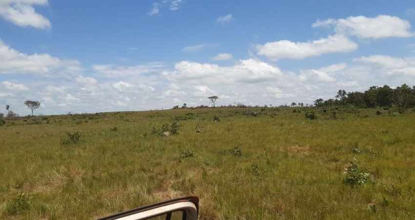 Fazenda para Venda em Redenção, Alto Paraná, 2 dormitórios, 1 banheiro, 19 vagas