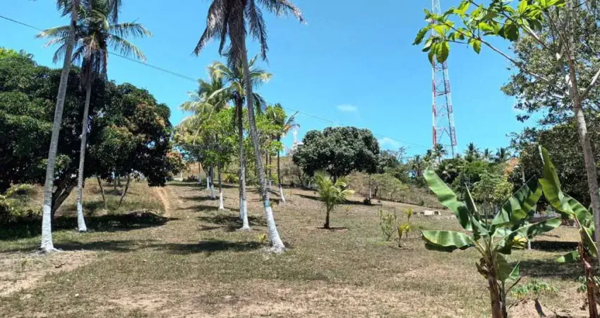 Chácara / sítio com 3 quartos à venda na Estrada para o Cristo, s/n, Eduardo Gomes, São Cristóvão