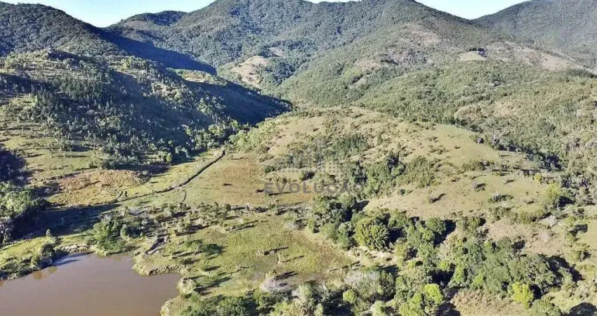 Fazenda à venda no Pinheira, Palhoça 