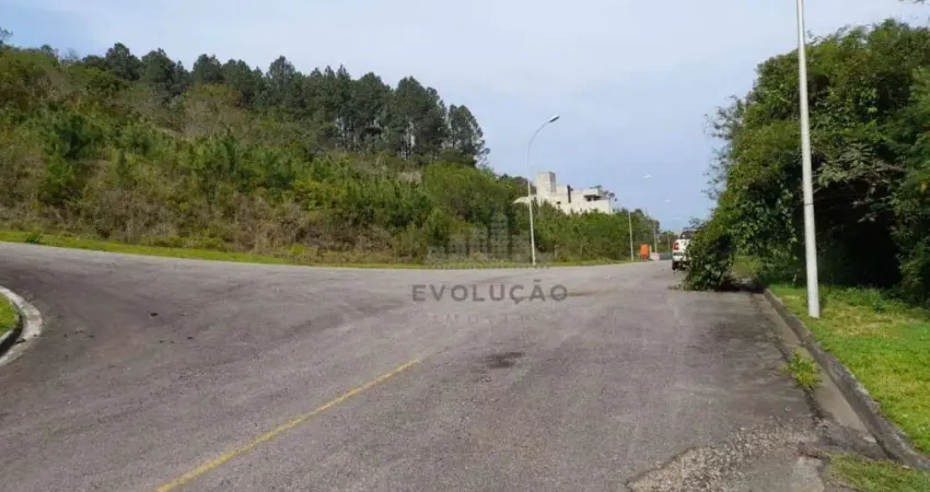 Terreno em condomínio fechado à venda na Rua Francelina Domingos de Jesus, Roçado, São José