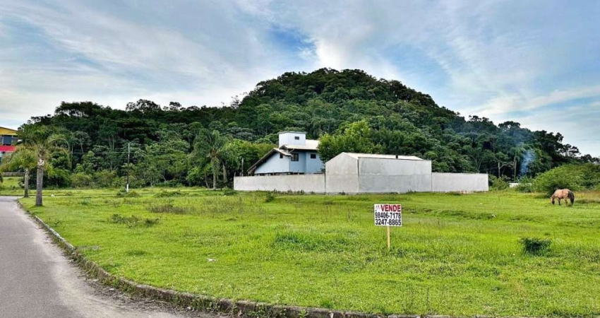 Terreno à venda, 451 m² por R$ 380.000,00 - Morro da Bina - Biguaçu/SC